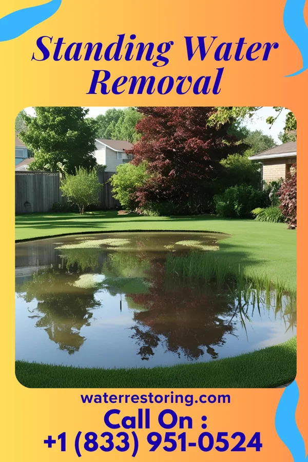 Standing Water Removal in Salina, OK